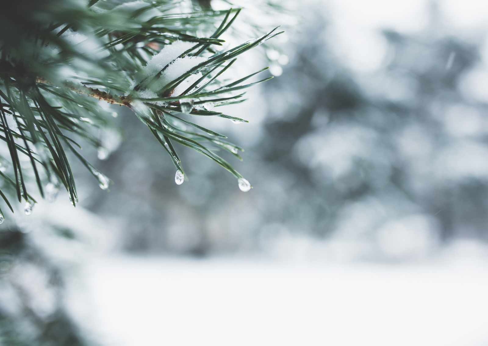 Winter Eye Care: How to Protect Your Eyes During the Coldest Months