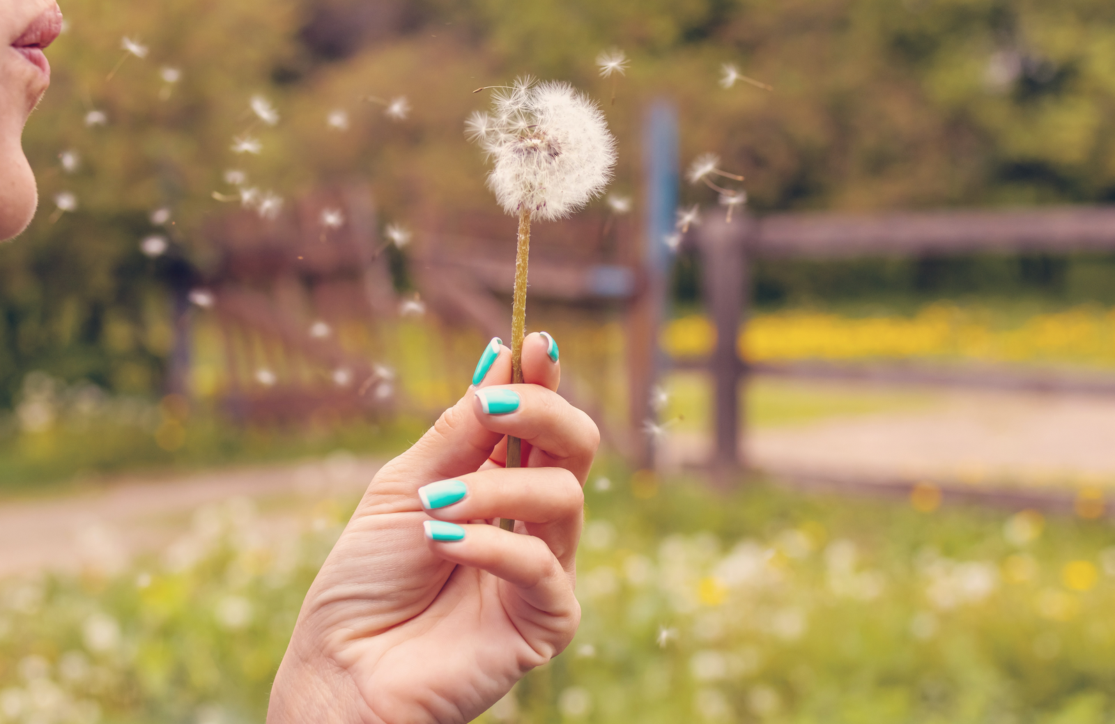Hay fever and your eyes