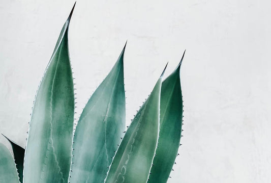 looking-after-your-eyelids