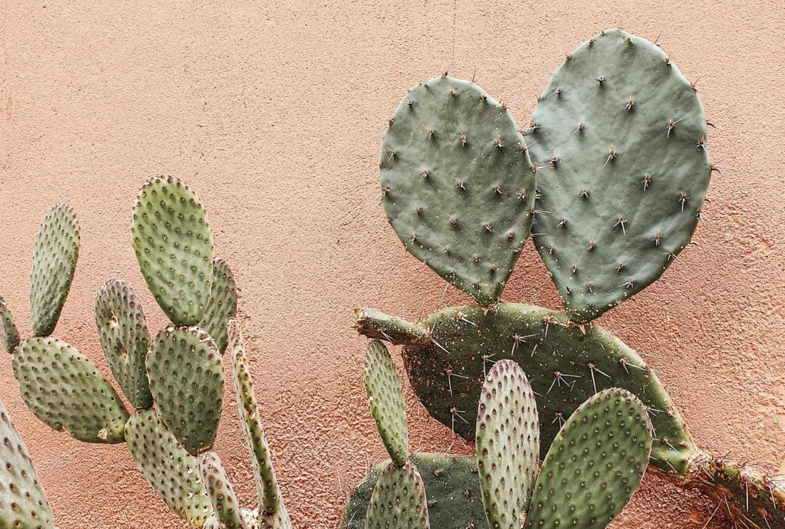 Can Menopause cause Dry Eyes?