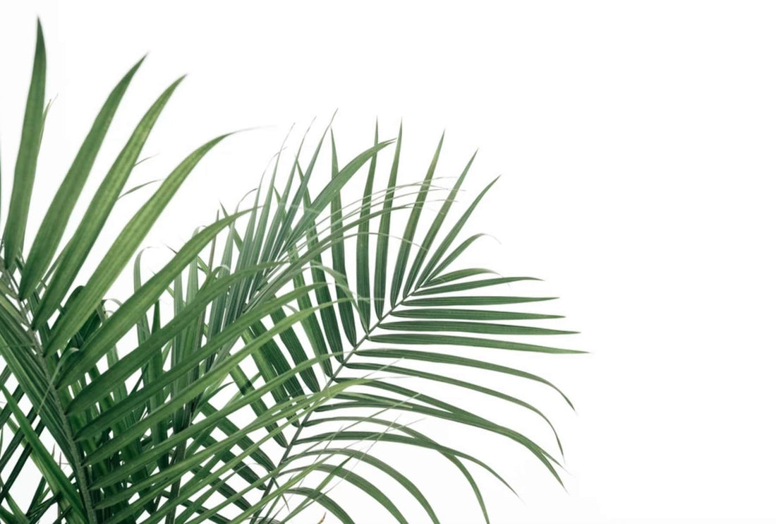 Blepharitis: What Is It?