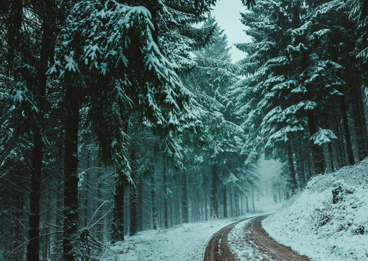 4-eye-care-resolutions-for-the-new-year