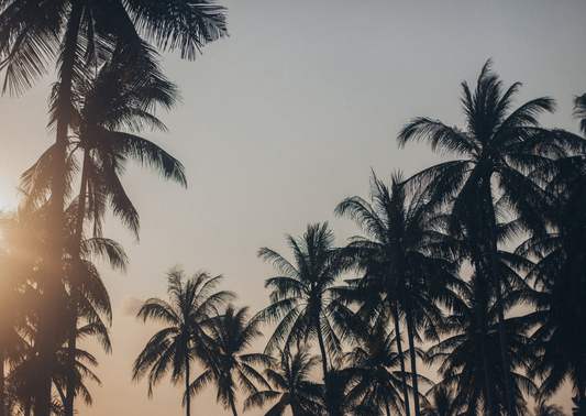 lash-tlc-the-truth-about-harmful-eyelash-growth-serums