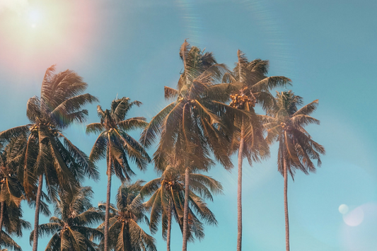 top-tips-to-keep-your-eyes-safe-this-summer-and-year-around