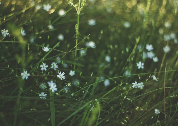 How to Help Dry Eyes This Allergy Season