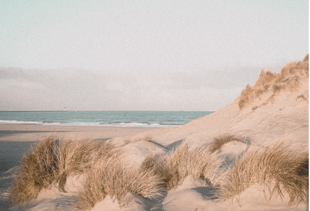 Red, Gritty, Burning: What Your Dry Eye Symptoms Mean