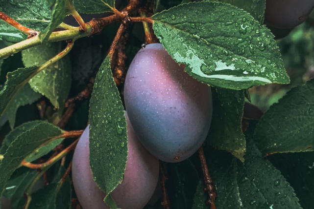 Best Eye Anti-Aging Advice from An Eye Doctor