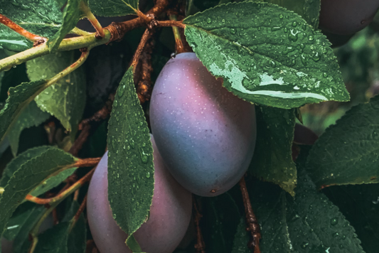 best-eye-anti-aging-advice-from-an-eye-doctor