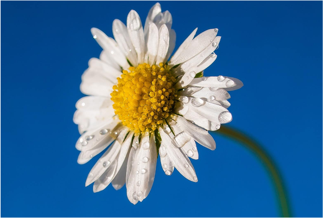 Why is preservative-free eyecare important?