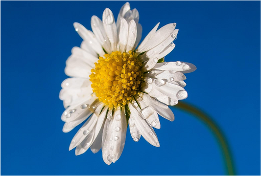 why-is-preservative-free-eyecare-important