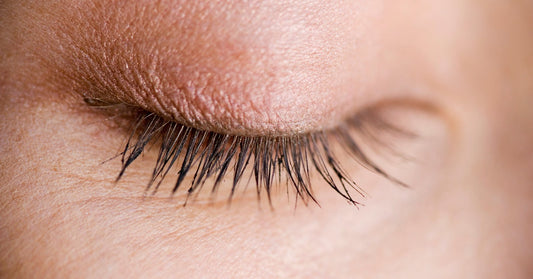 meet-your-meibomian-glands-the-oil-glands-behind-most-dry-eye